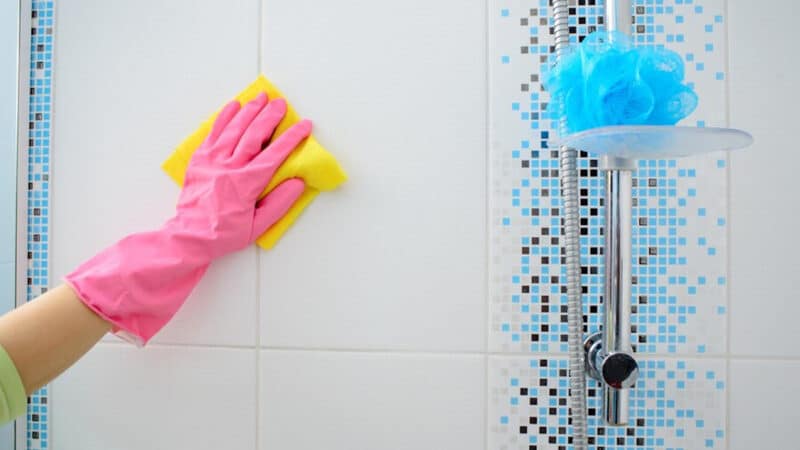 Moisissure de joint de douche et nettoyants écologiques : Solutions sans produits chimiques
