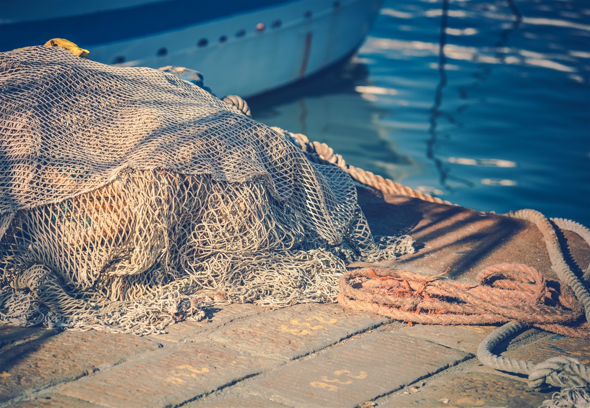 Les effets dévastateurs de la pêche industrielle sur la biodiversité marine