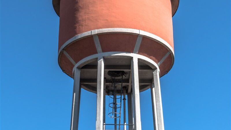 Warka en Éthiopie : un modèle de succès pour hydrater les communautés