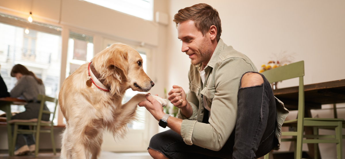 Accessoires bio pour chiens : optez pour des produits durables et respectueux de l’environnement