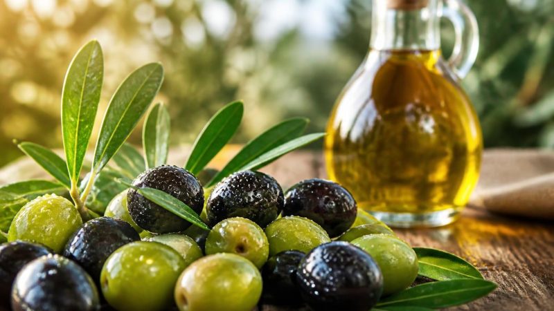 Bienfaits Hydroxytyrosol : l&rsquo;atout santé des olives